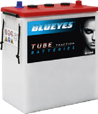 Blueyes BTT06265 6V 350Ah